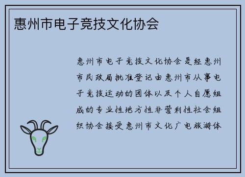 惠州市电子竞技文化协会
